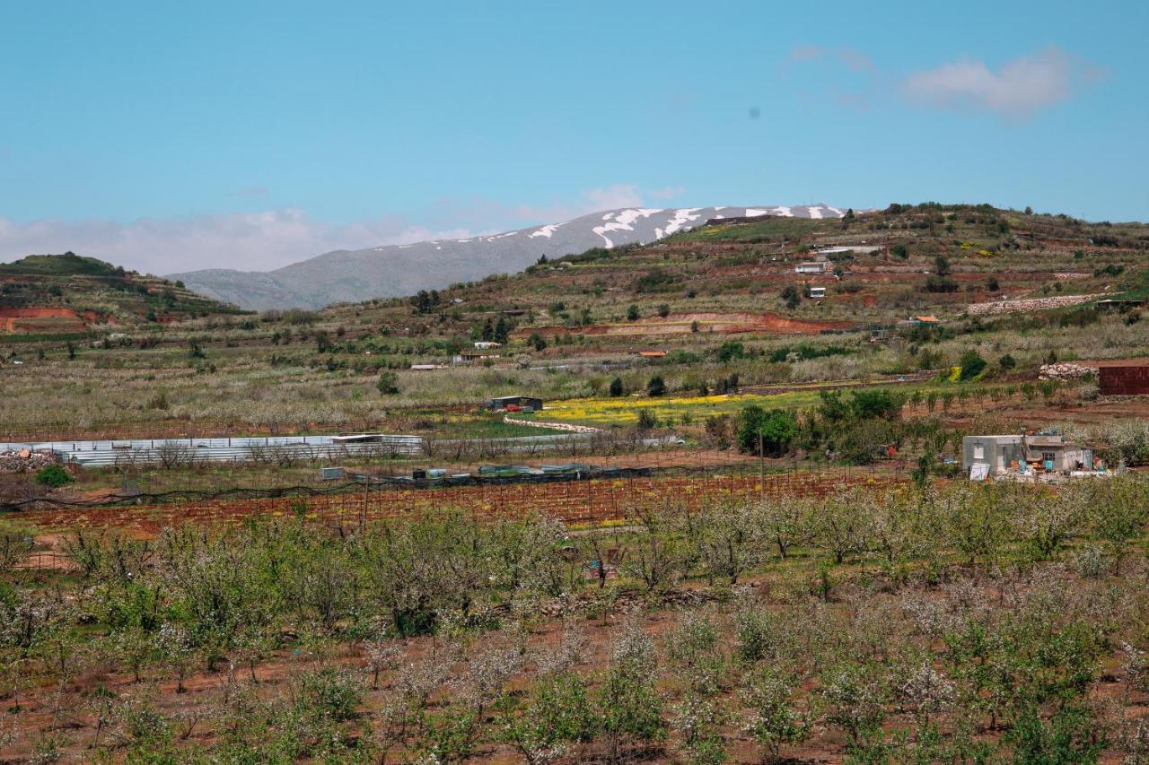הוילה Buq'ata Grand Golan מראה חיצוני תמונה